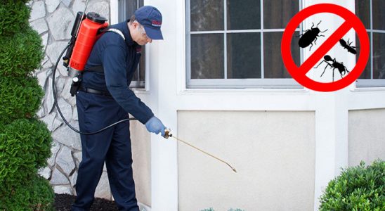 Orhangazi Fare İlaçlama böcek ilaçlama ve haşere kontrolü — ilaclama-tr.com